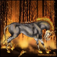Horse Color:Platinum Brown Dun Splash Varnish Rabicano 