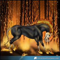 Horse Color:Black 