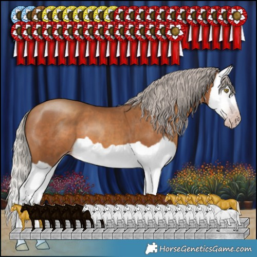 Horse Color:Gray Silver Amber Champagne Splash 