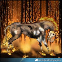 Horse Color:Buckskin Sabino Appaloosa  and Void Black Pearl Sabino Tobiano Rabicano 