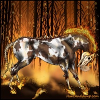 Horse Color:White Spotted Liver Chestnut 