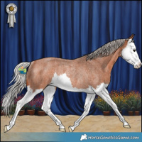 Horse Color:Silver Bay Roan Splash Rabicano 