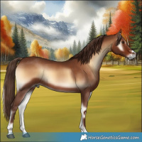 Horse Color:Red Onyx Rabicano