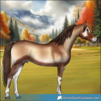 Horse Color:Red Onyx Rabicano