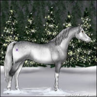 Horse Color:White Spotted Silver Blue Onyx Chinchilla 