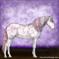 Horse Color:Watercolor White Spotted Perlino Onyx Sabino Appaloosa 