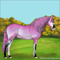 Horse Color:Watercolor Palomino Onyx Sabino Rabicano
