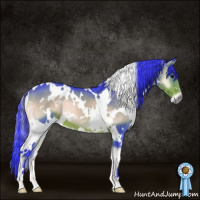 Horse Color:Watercolor White Spotted Brown Onyx