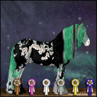 Horse Color:Watercolor White Spotted Brown Onyx Appaloosa