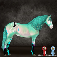 Horse Color:Watercolor Liver Red Onyx Sabino Appaloosa