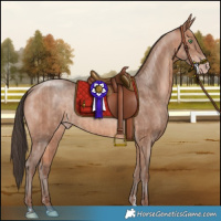 Horse Color:Sable Champagne Rabicano and Amber Champagne