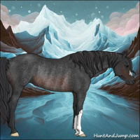 Horse Color:Brown Rabicano 