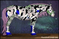 Horse Color:Watercolor White Spotted Liver Red Onyx Appaloosa 