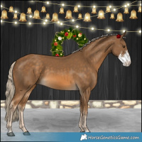 Horse Color:Chocolate Palomino Sabino Rabicano 