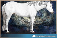 Horse Color:White Spotted Liver Chestnut Sabino Rabicano 