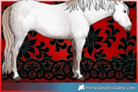 Horse Color:Gray Chestnut 