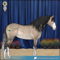 Horse Color:Brown Dun Rabicano 