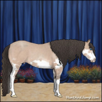 Horse Color:Amber Champagne Splash Frame 