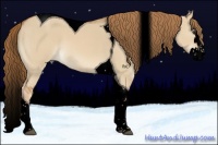 Horse Color:Void Red Dun Splash Tobiano 