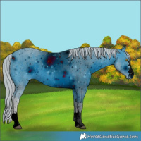 Horse Color:ERROR: UNKNOWN ANOMALY