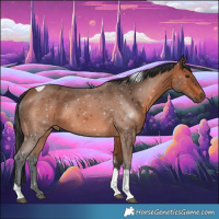 Horse Color:Bay Tobiano 