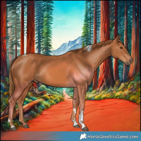 Horse Color:Chestnut Tobiano