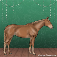 Horse Color:Chestnut Rabicano 