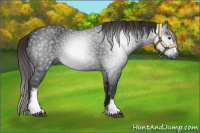 Horse Color:Gray White Spotted Liver Chestnut 