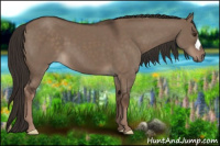 Horse Color:Liver Red Dun 