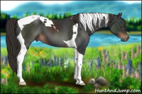 Horse Color:Liver Chestnut Tobiano 