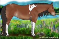 Horse Color:Brown Tobiano