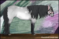 Horse Color:Bay Chinchilla 