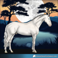 Horse Color:Chocolate Silver Perlino Dun