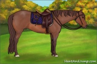 Horse Color:Chocolate Bay Roan
