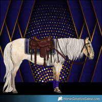 Horse Color:Chocolate Silver Buckskin Roan 