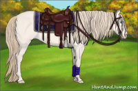 Horse Color:Chocolate Perlino Dun 