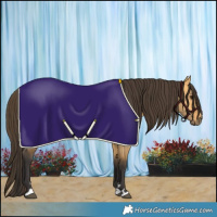 Horse Color:Buckskin Dun 