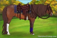 Horse Color:Chocolate Bay