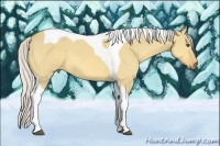 Horse Color:Silver Buckskin Dun Tobiano