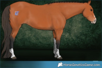 Horse Color:Bay Sabino Tobiano 