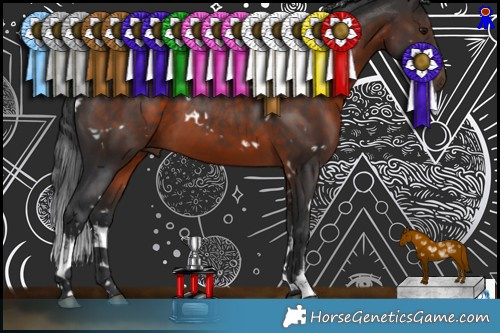 Horse Color:White Spotted Brown 