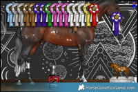 Horse Color:White Spotted Brown 