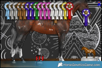 Horse Color:White Spotted Brown 