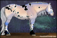 Horse Color:Watercolor White Spotted Silver Bay Onyx Sabino Appaloosa 