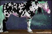 Horse Color:Watercolor White Spotted Bay Onyx Appaloosa Rabicano 