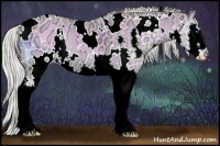 Horse Color:Watercolor White Spotted Palomino Ice Onyx Splash 