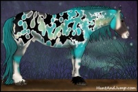 Horse Color:Smoky Blue Onyx Roan Appaloosa 