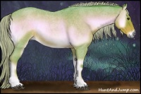 Horse Color:Watercolor Red Onyx Roan Rabicano 