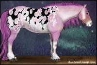 Horse Color:Watercolor Liver Red Onyx Roan Appaloosa