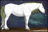 Horse Color:Watercolor Red Onyx Splash Appaloosa 